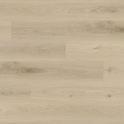 Provenza Floors Modessa - Grandstand