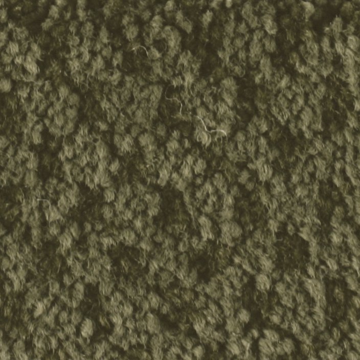 Masland Seurat - Deep Olive