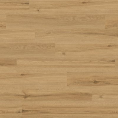 Canopy Sabine Oak - 7" x 4ft
