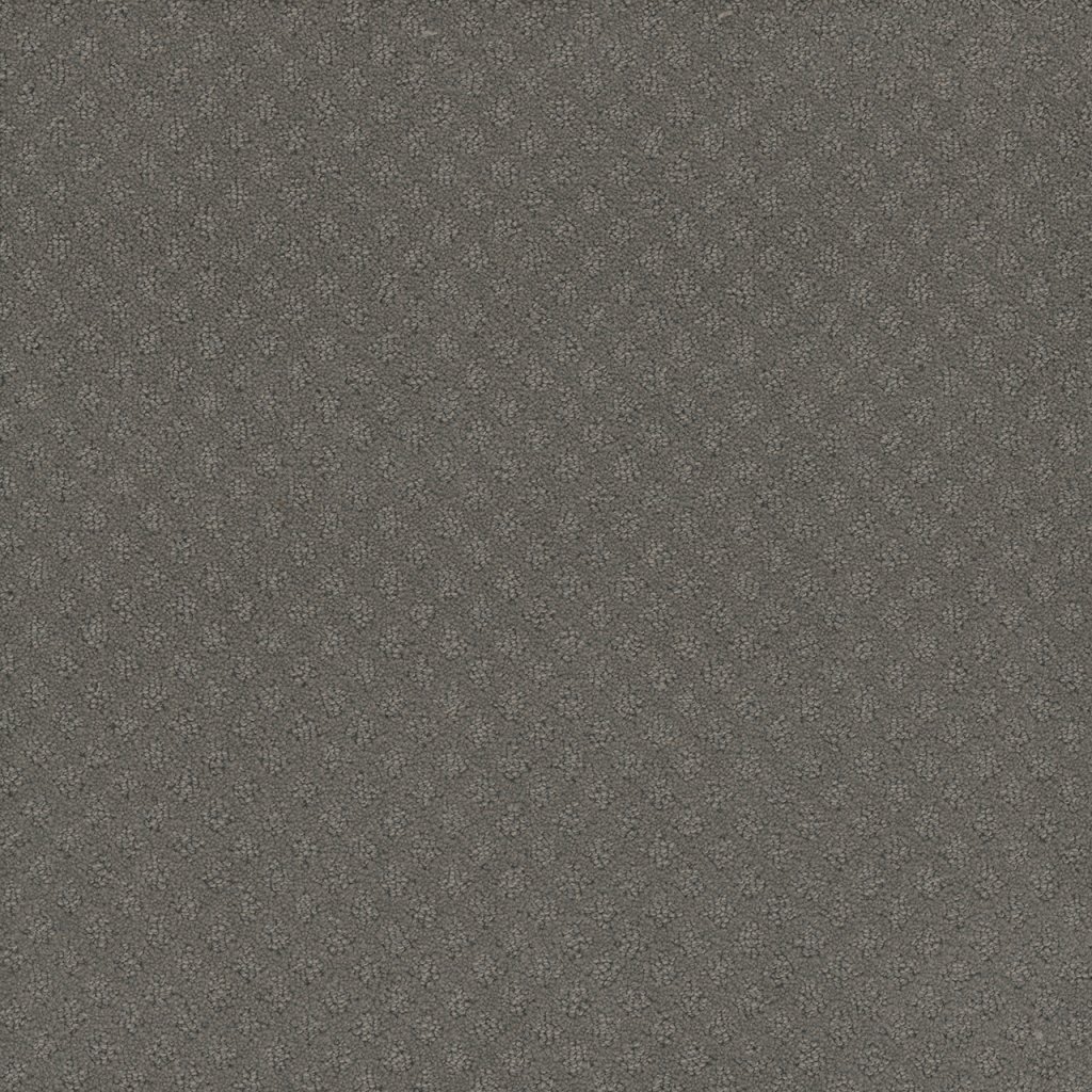 Dreamweaver CAPRI - Bayside 956