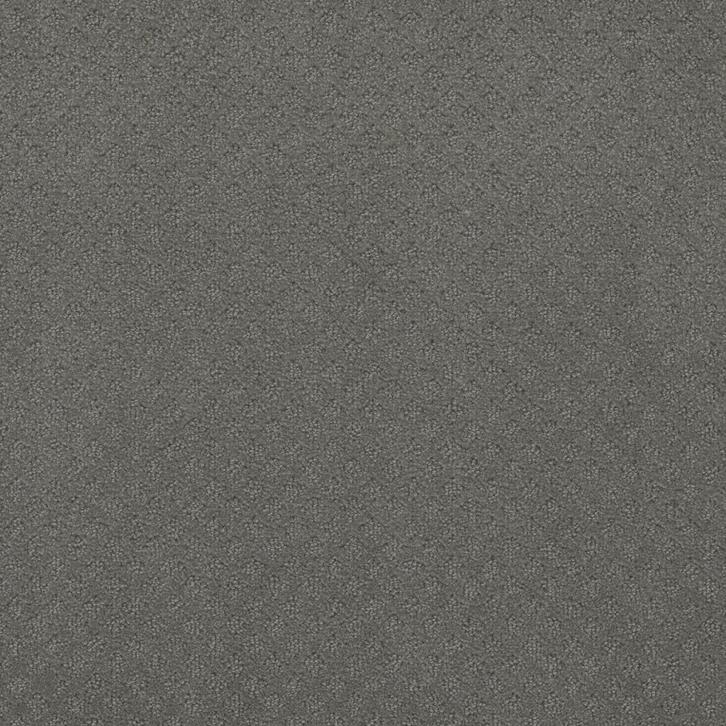 Dreamweaver CAPRI - Skyway 6009