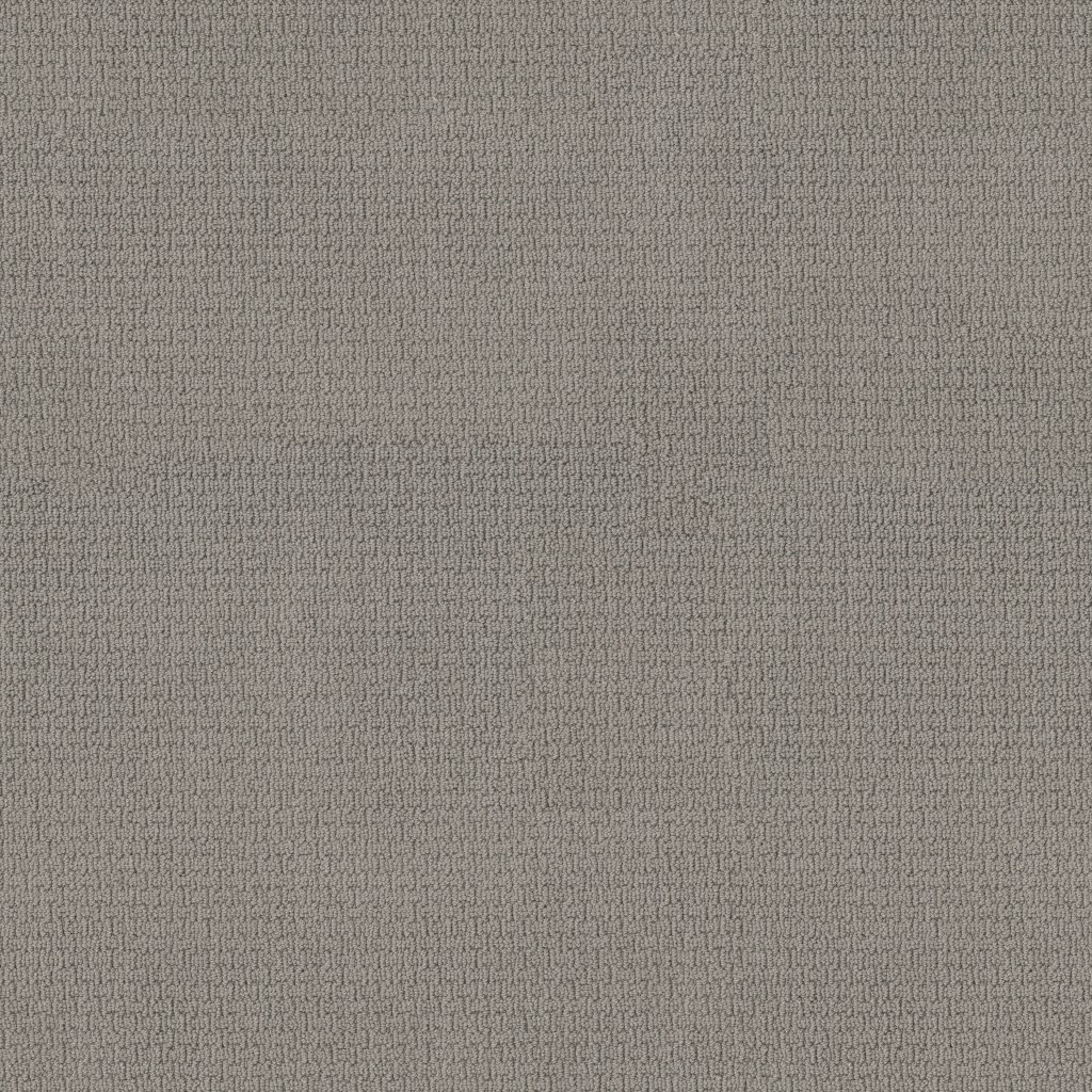 Shaw Floors San Salvador - Valley Mist