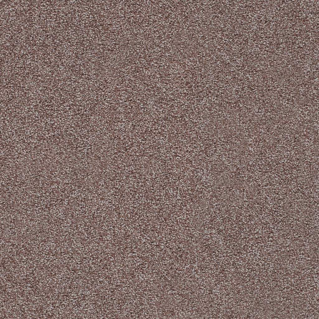 Dreamweaver SPECTRUM III - Rumors 5102