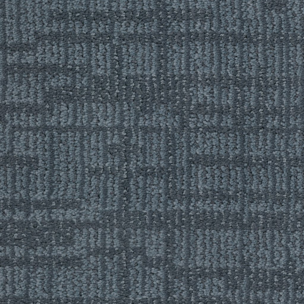 Masland Lineage - Bluetick