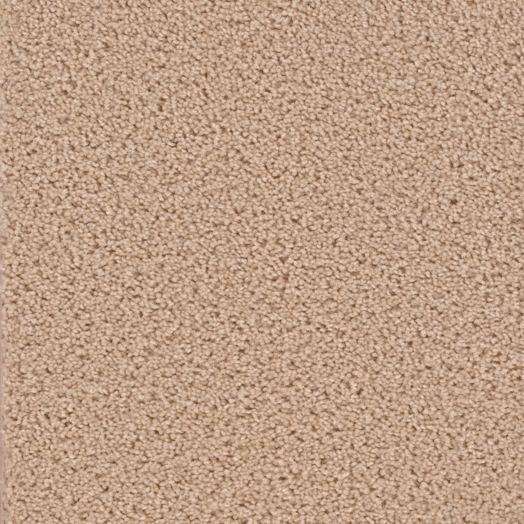 Dreamweaver BROADCAST - Cookie Dough 705