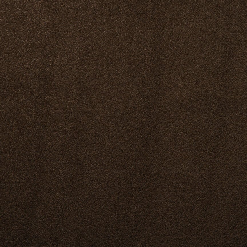 Masland Silk Touch - Barnboard