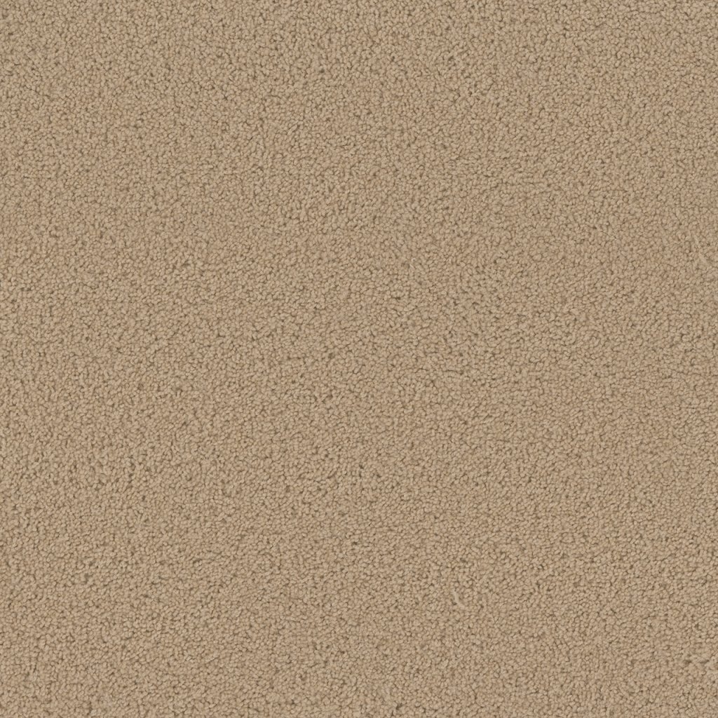 Dreamweaver BROADCAST PLUS - Cookie Dough 705