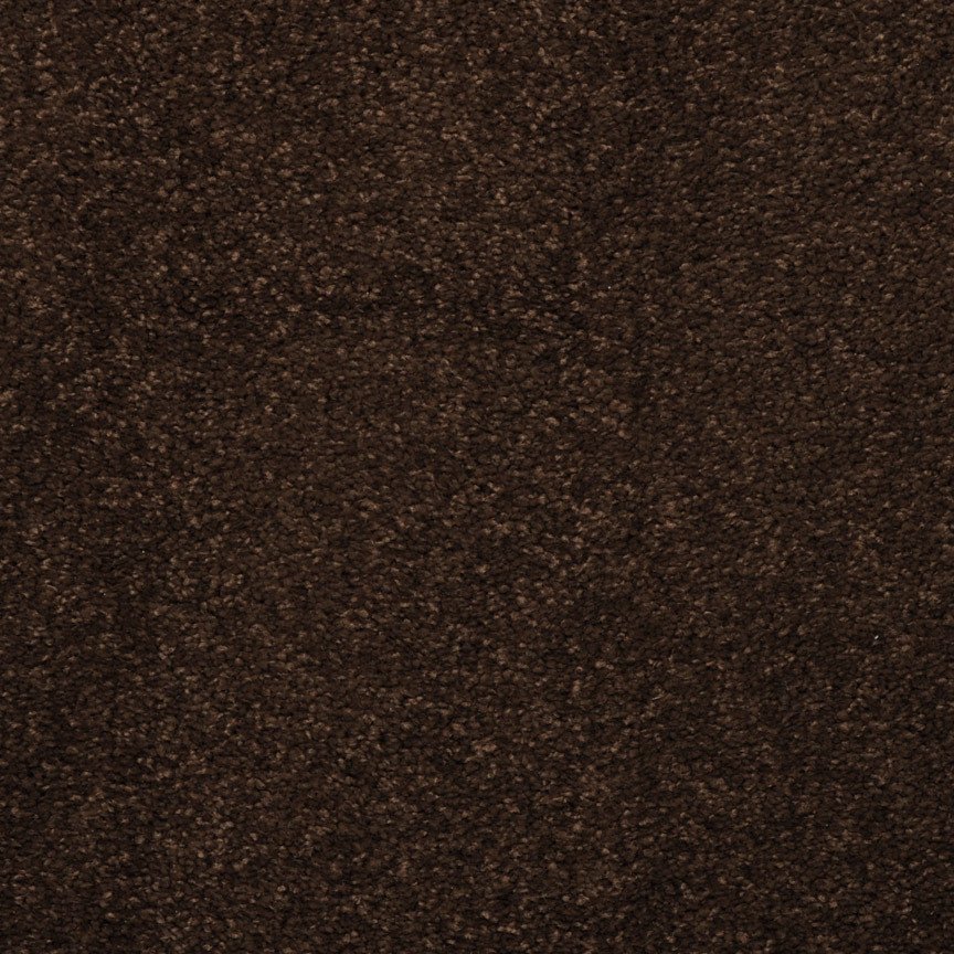 Masland Embrace - Cola