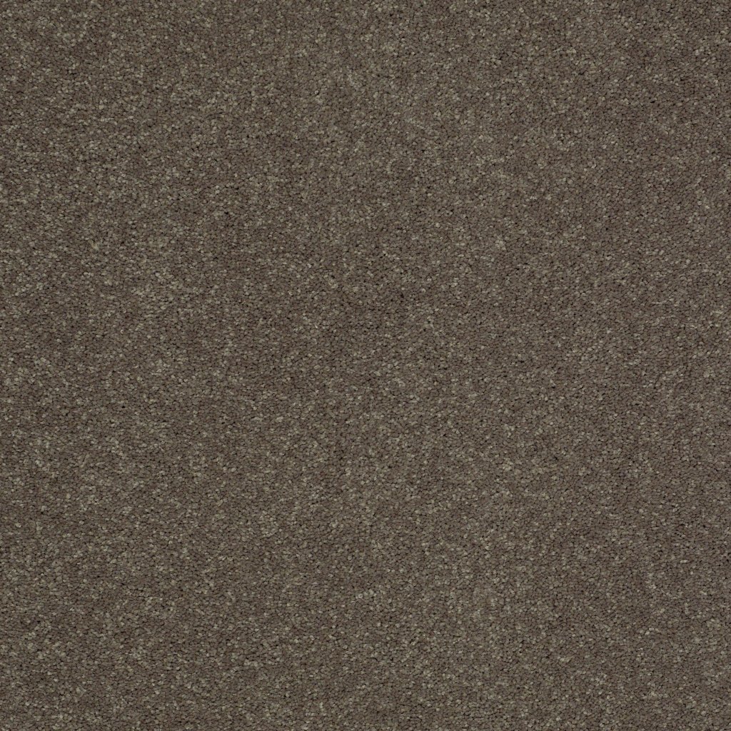 Shaw Floors Shingle Creek Ii 12' - Castle Rock
