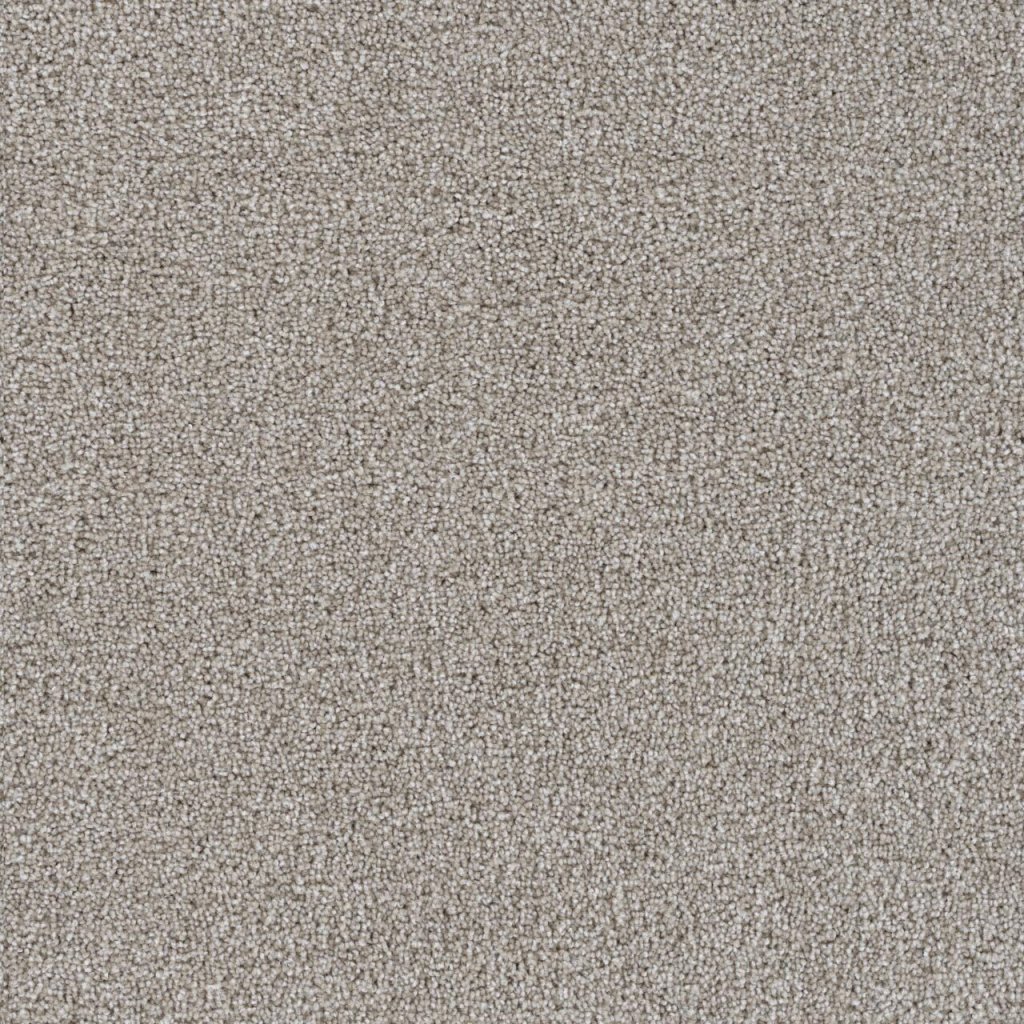 Dreamweaver GOOSEHILL - Clam Shell 182