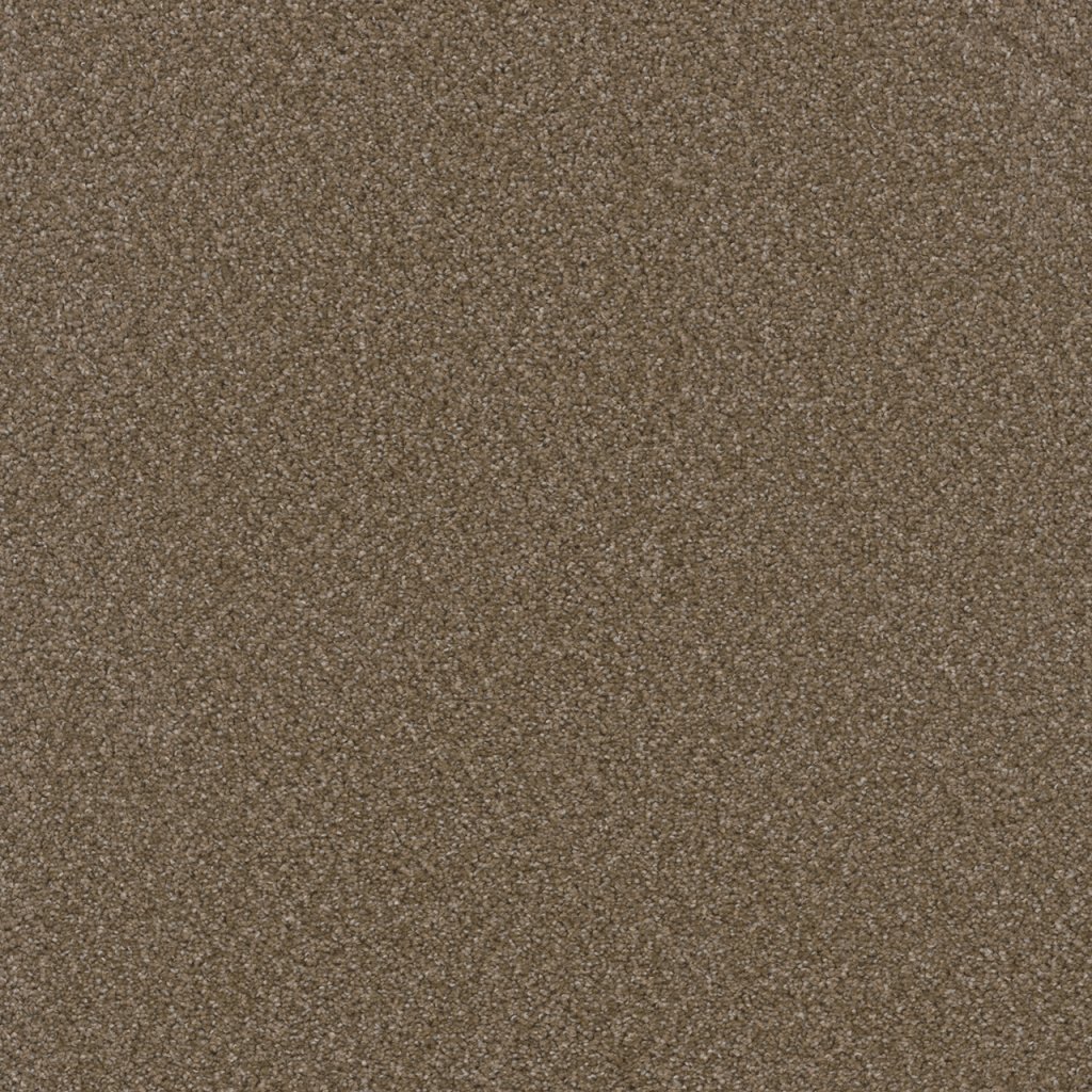 Dreamweaver BROADCAST - Chestnut 806