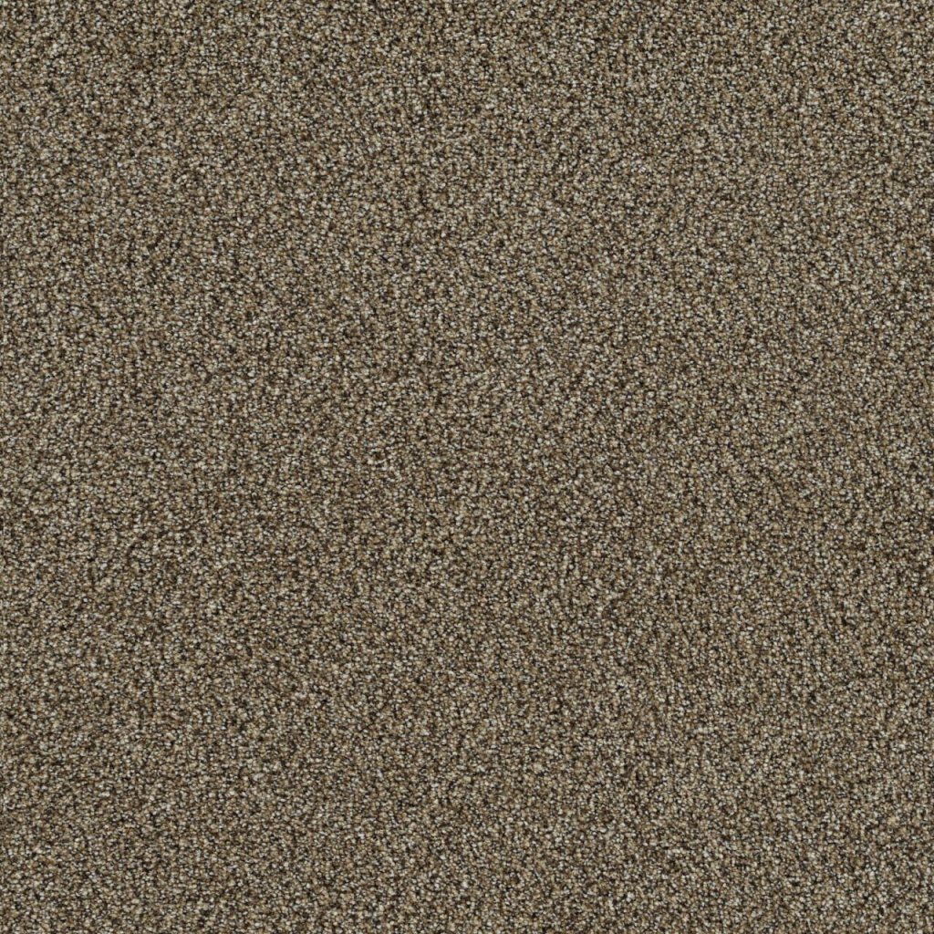 Dreamweaver MIRAGE I - Prescott 5202