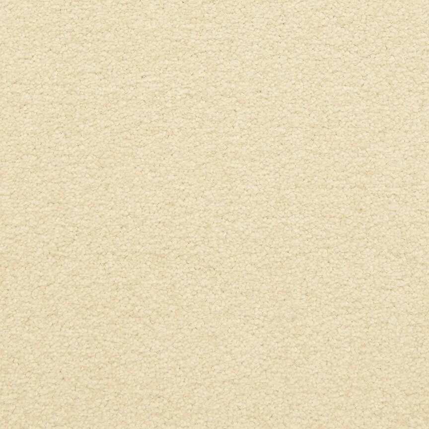 Masland Patriot - Simplify