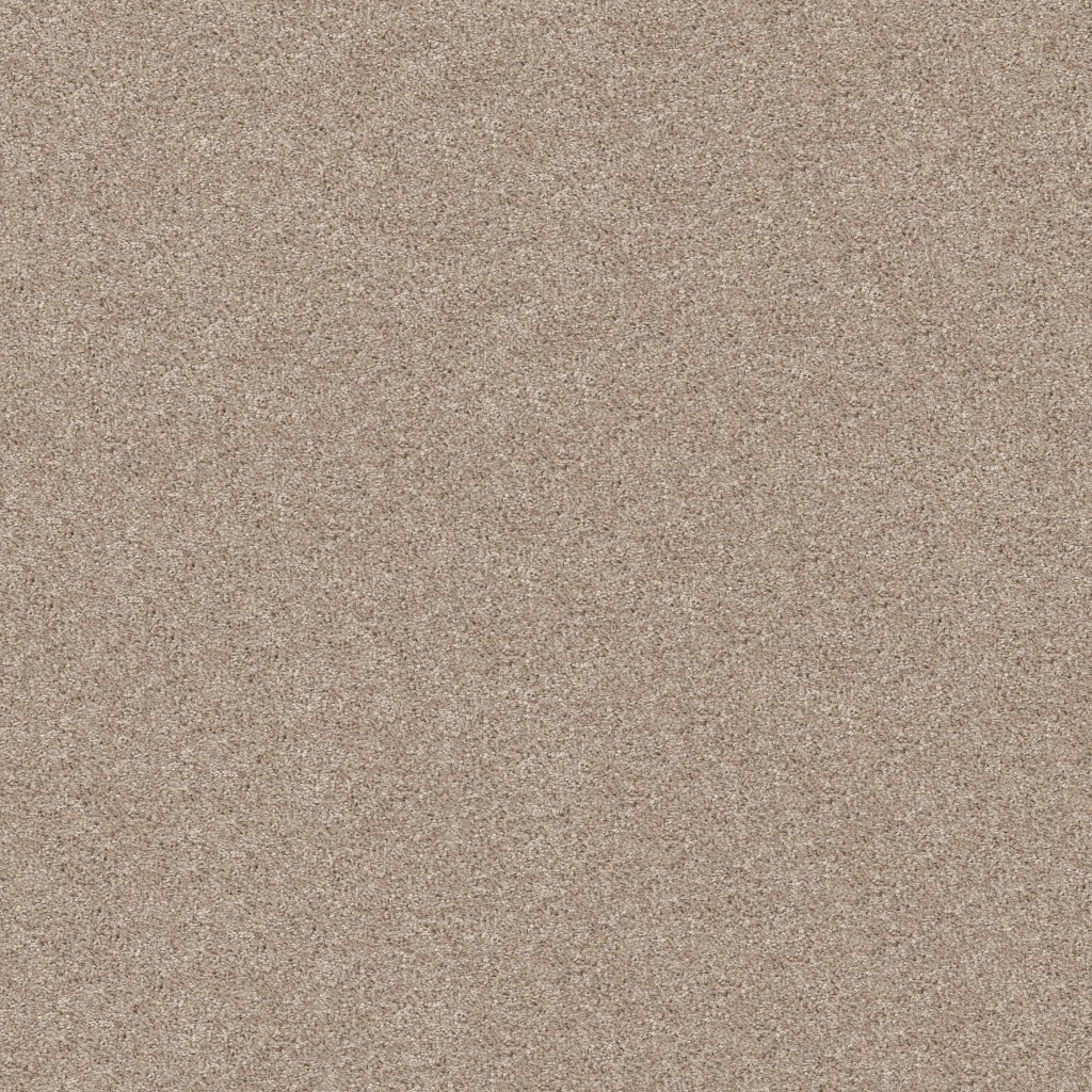 Shaw Floors All Set II - Quartz