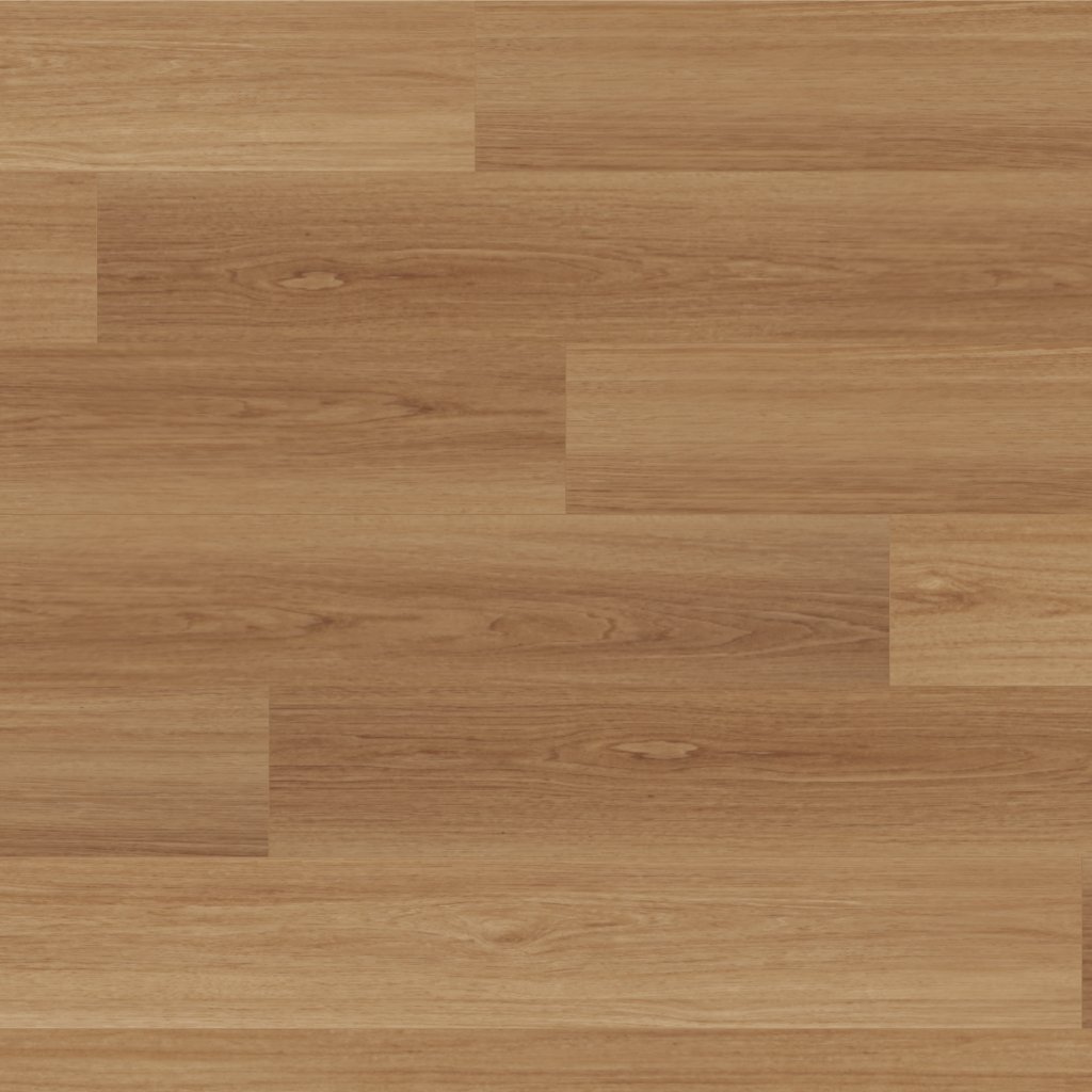 Canopy Harvest Oak
