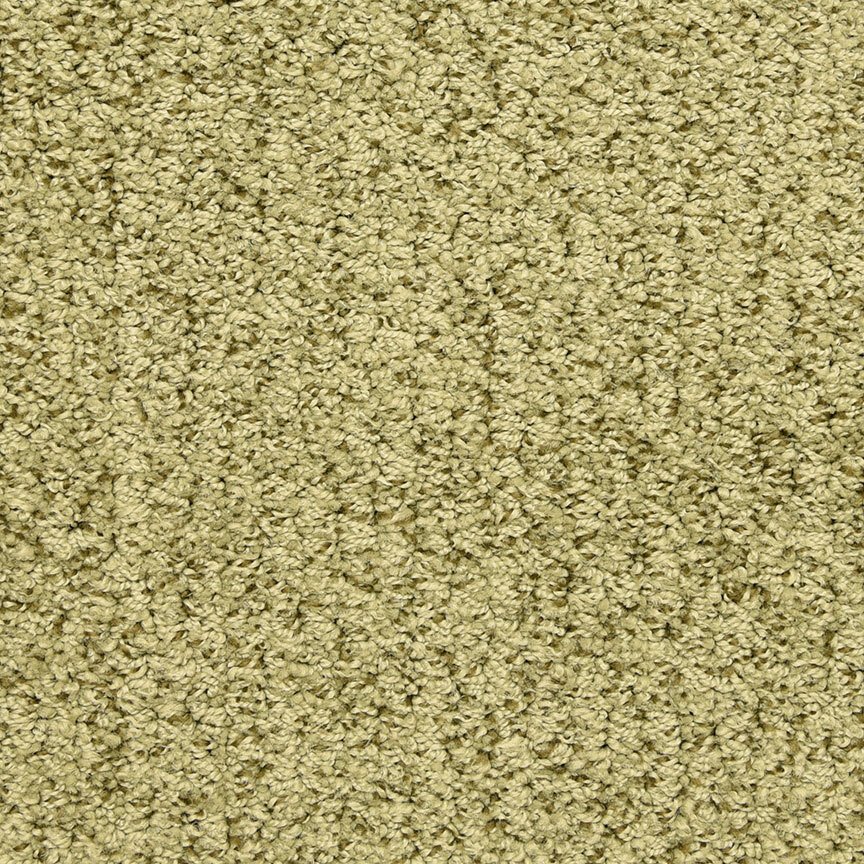 Masland Sea Grass - Palm Tree