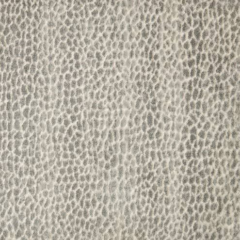 Stanton RACONTARS - SILVERFOX