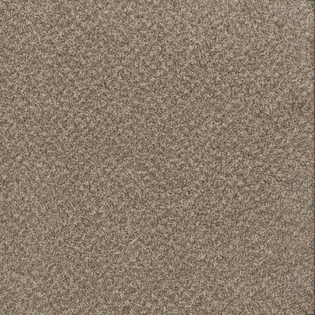 Dreamweaver TOAST OF THE TOWN - Natural Cotton 309