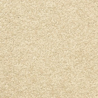 Masland Montrose - Scroll - 12'