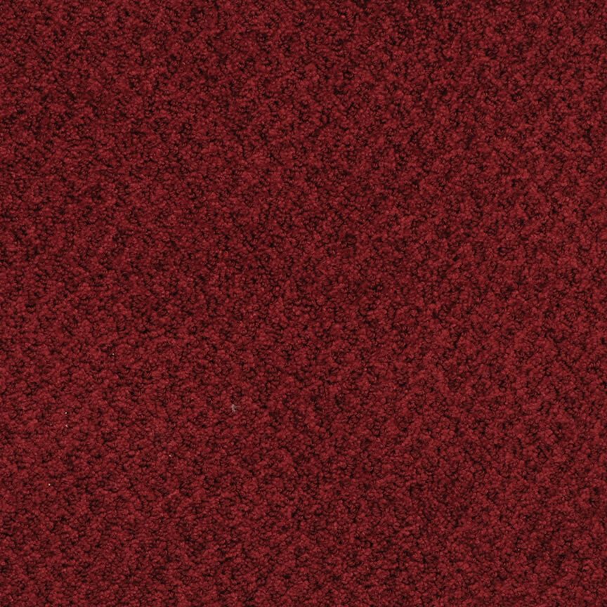 Masland New Hope - Currant
