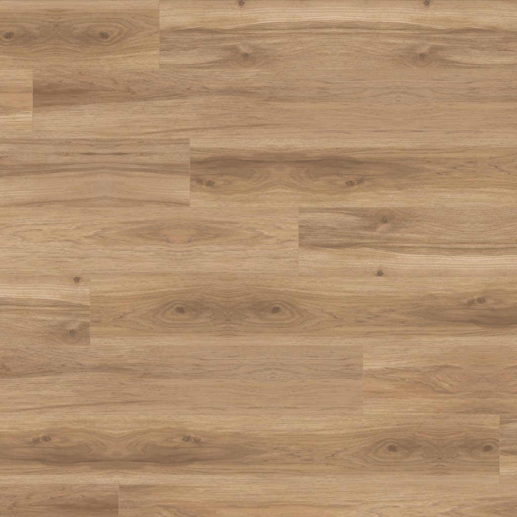 Mannington Atlas - Trail