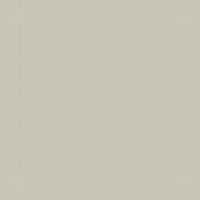Qualis Ceramica Monoforma 48x48 Storm Silk - Grid
