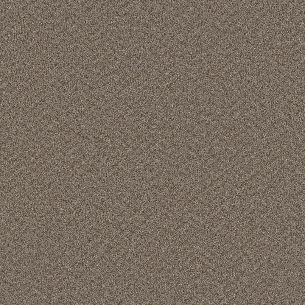 Dreamweaver BROADCAST - Cinder 835
