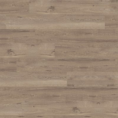 Karndean Designflooring FROSTED BIRCH SCB83 - BROWN - 7" x 48"