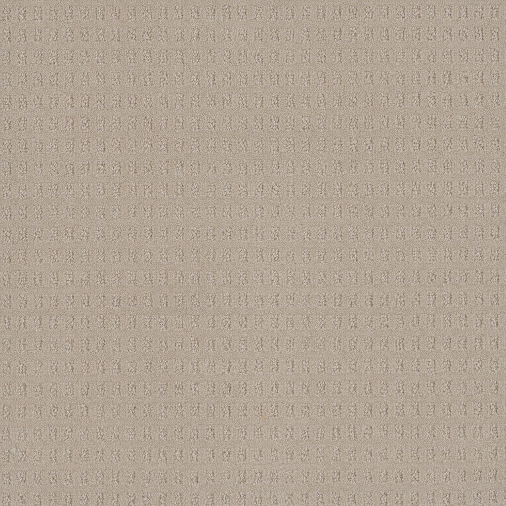 Dreamweaver CASPIAN - Champagne Fizz 6309