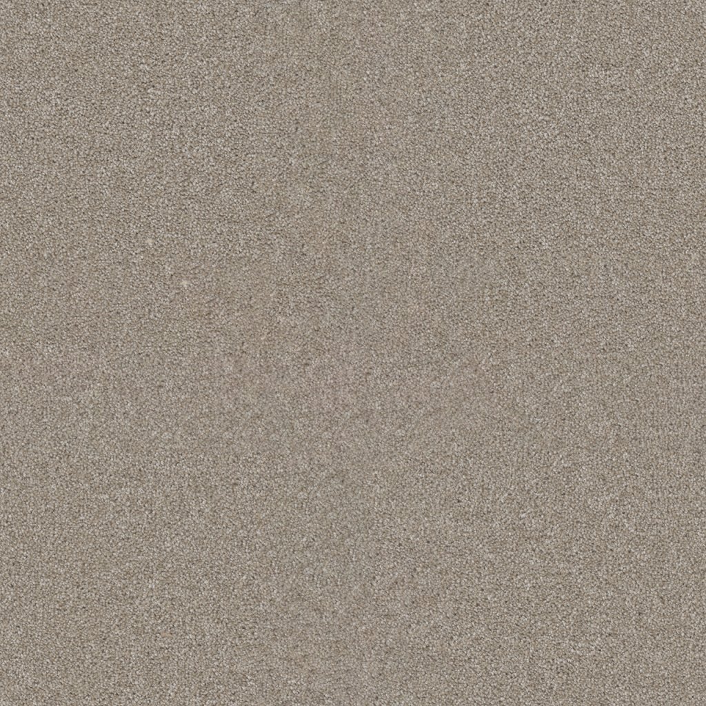 Dreamweaver STAR STRUCK - Parchment 744
