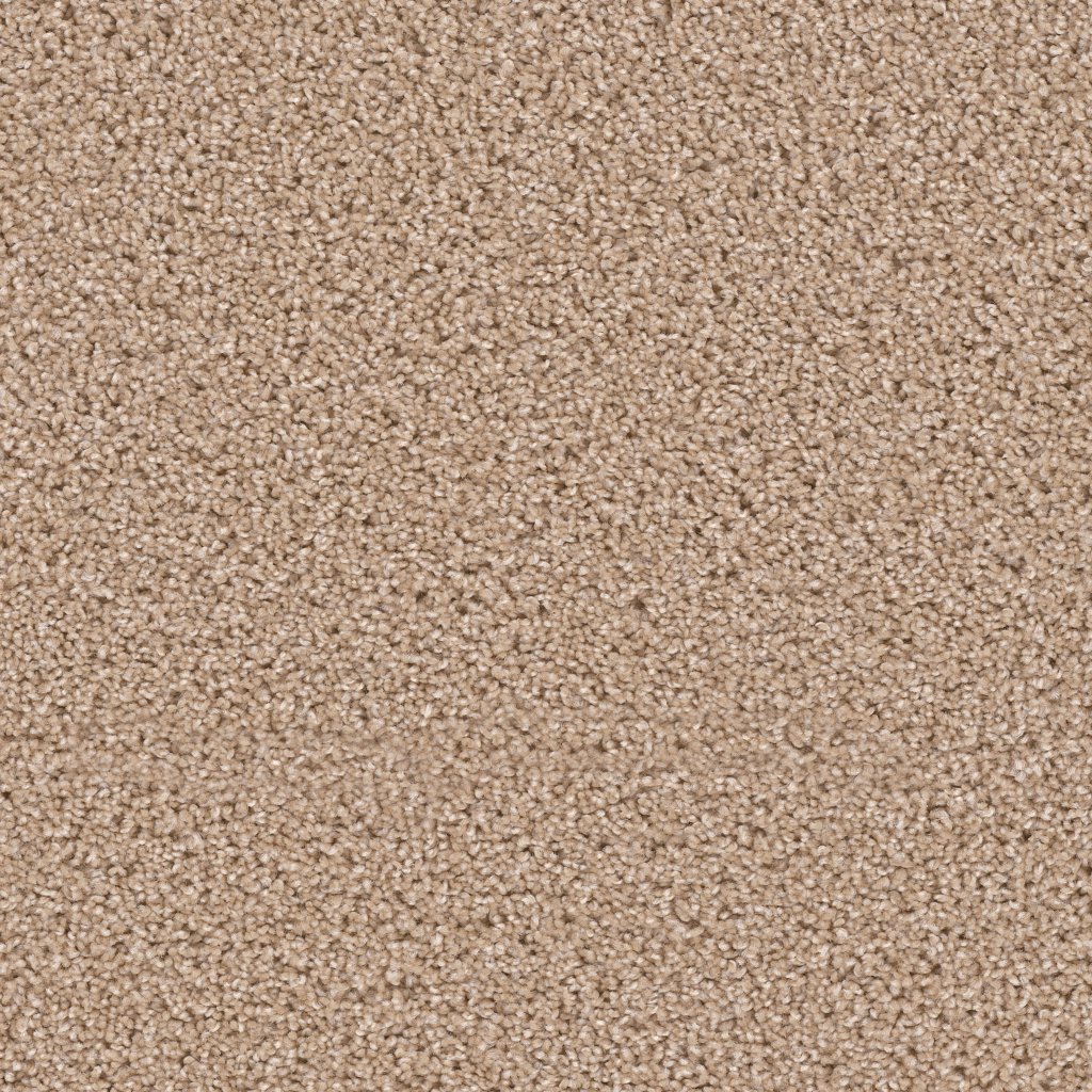 Dreamweaver EXCEPTIONAL - Cashmere 580