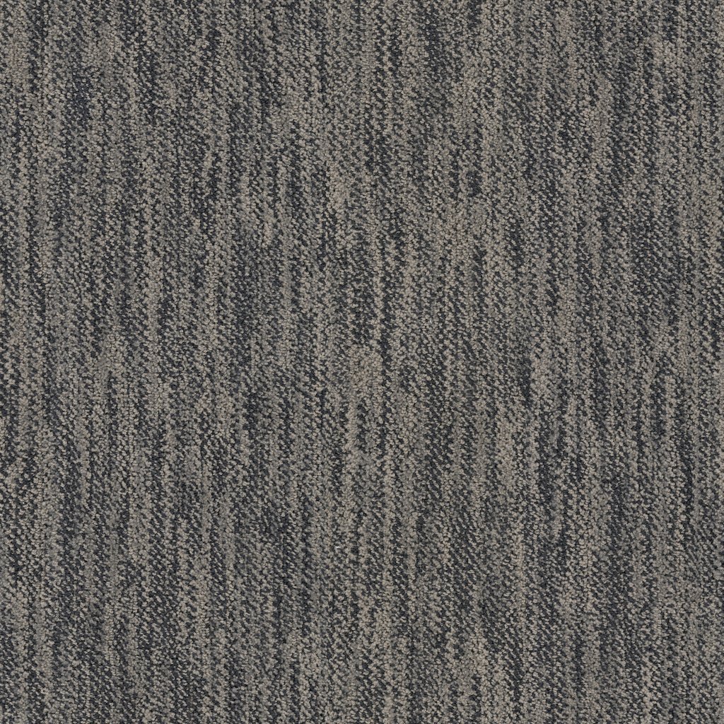 Masland Desert - Vista