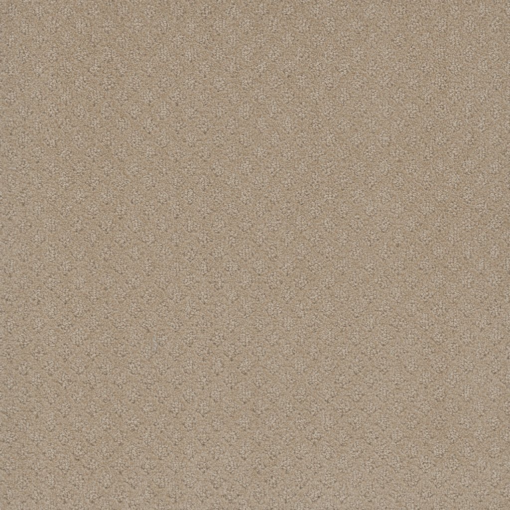 Dreamweaver CAPRI - Soft Pine 6317