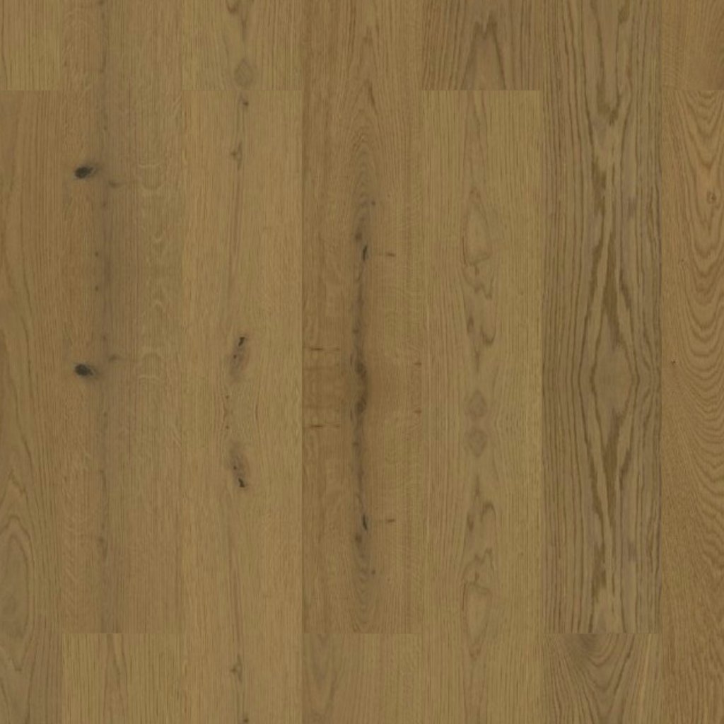 MSI Mccarran Northcutt - Northcutt®