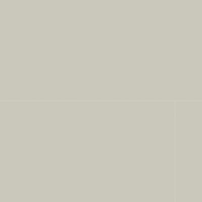 Qualis Ceramica Monoforma 63x126 Storm Silk - Alternating 1/3