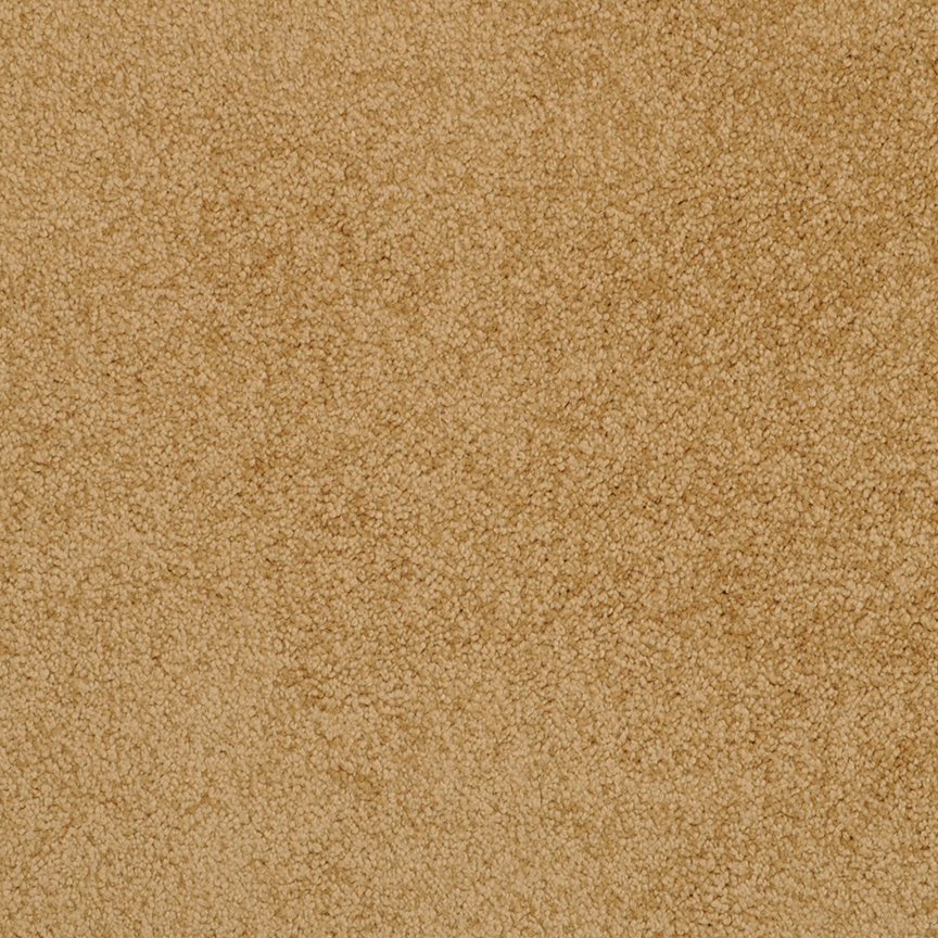 Masland Americana - Topaz