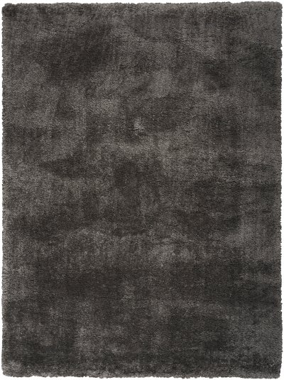 Nourison Home Nourison Dreamy Shag DRS05 6'7" x 9'2" Grey Shag Indoor Rug - 4' x 6'