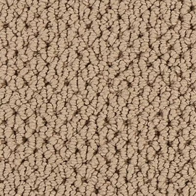 Karastan Intricate Character - Burlap