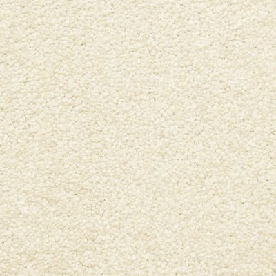 Masland Montrose - Shell - 12'