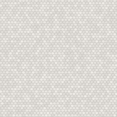 Marble Systems Iceberg Honed Hexagon 2 Marble Mosaic 10 3/8x12 - Iceberg - 10 3/8" x 12" x 3/8"