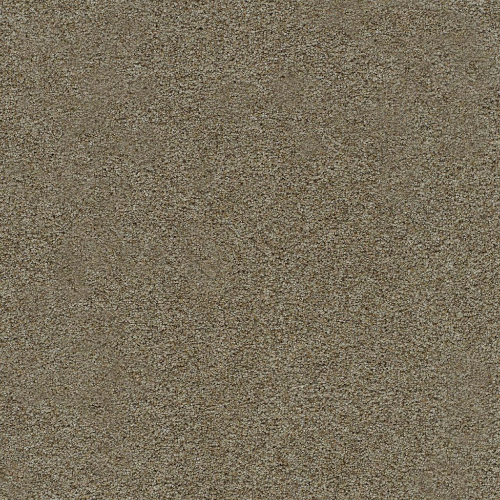 Dreamweaver MORNING GLORY III - Sparrow 2565
