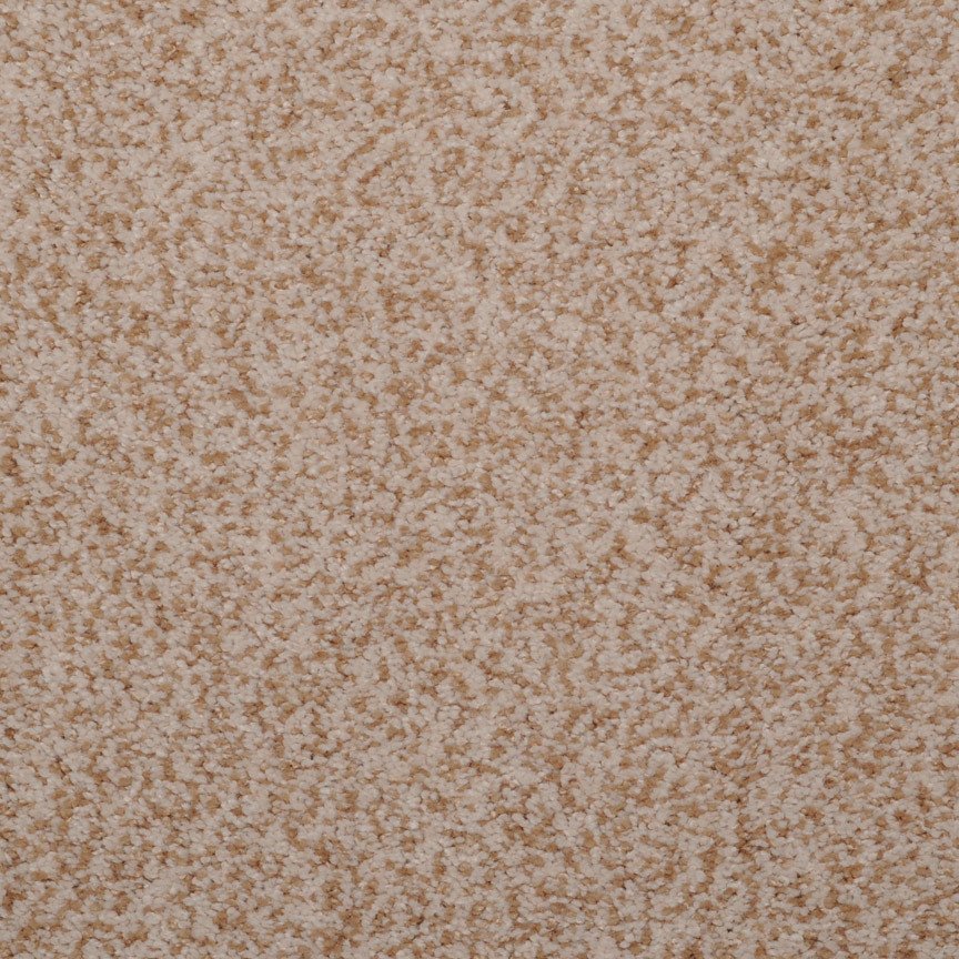 Masland Granique - Ammonite
