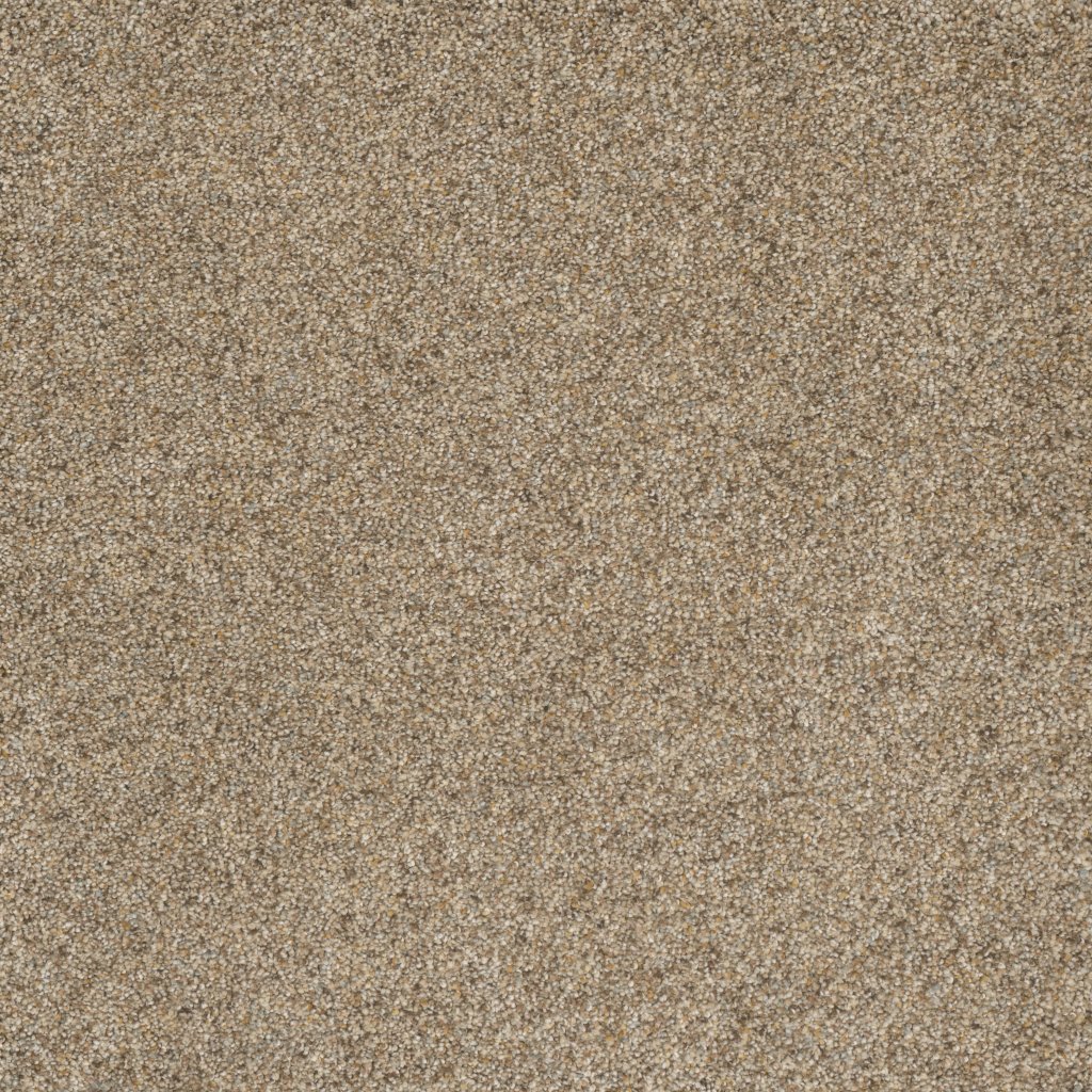 Dreamweaver ASTOUNDING III - Amberwood 529