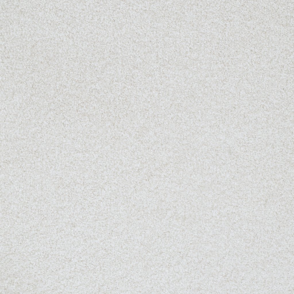 Masland Boca Raton - Forever