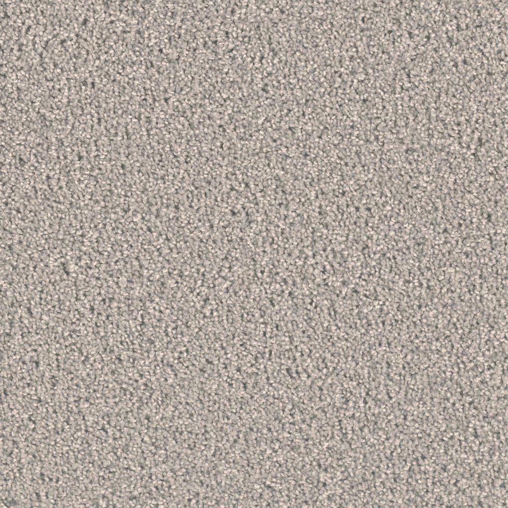 Dreamweaver EXCEPTIONAL II - Silver Birch 800