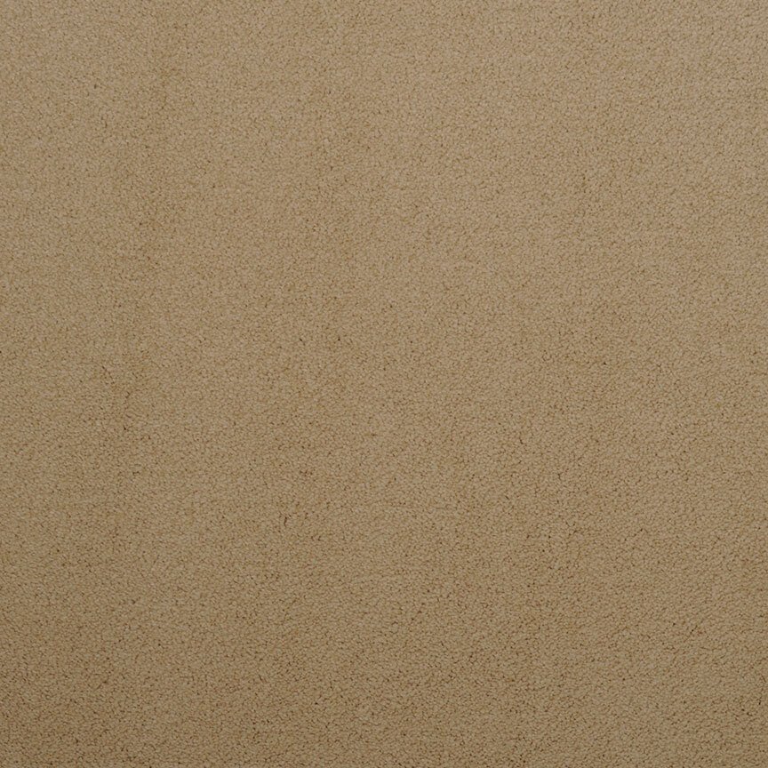 Masland Silk Touch - Surrey