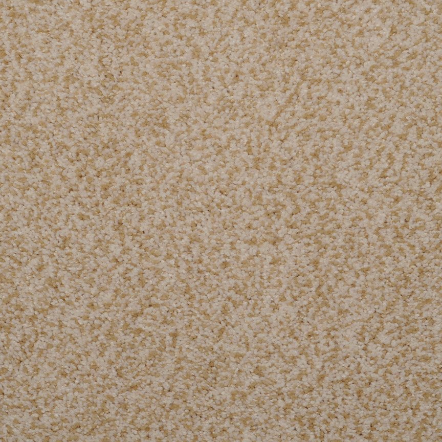 Masland Granique - Sand Stone