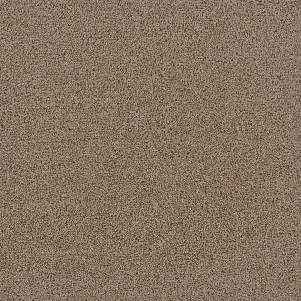 Dreamweaver FIRST STEP - Balsam 565