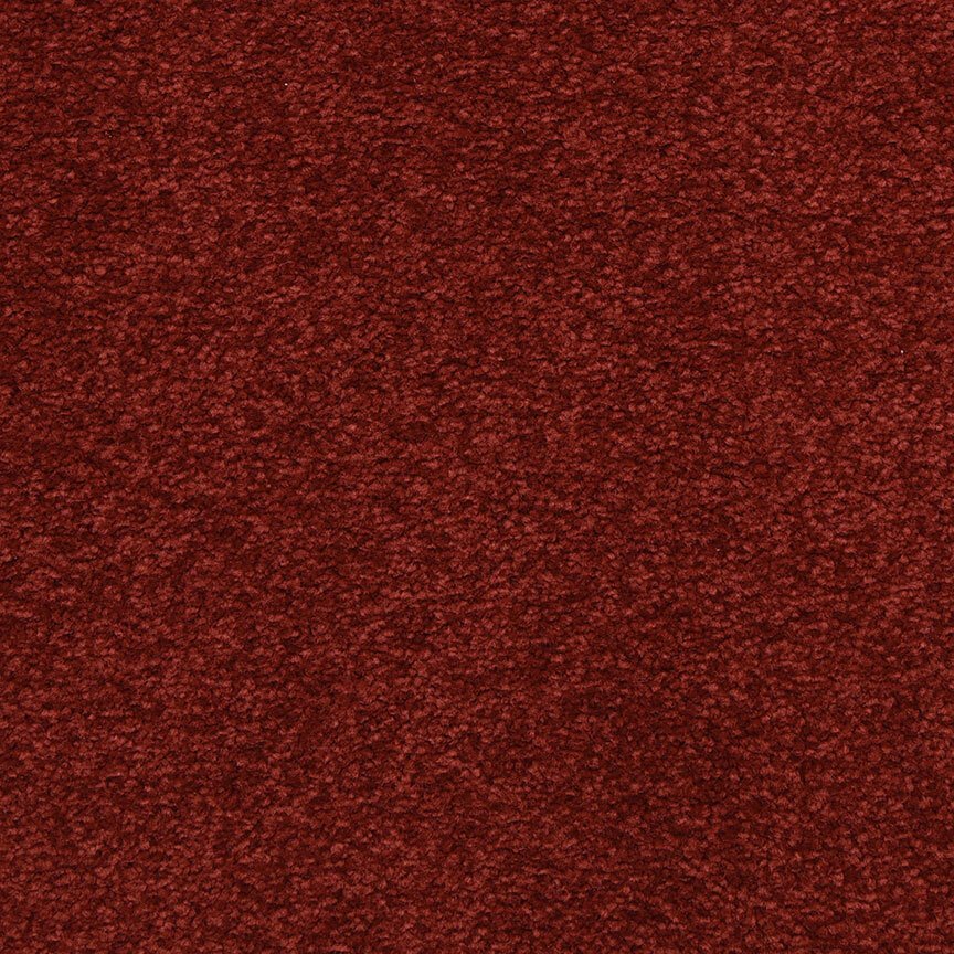 Masland Patriot - Vibrant