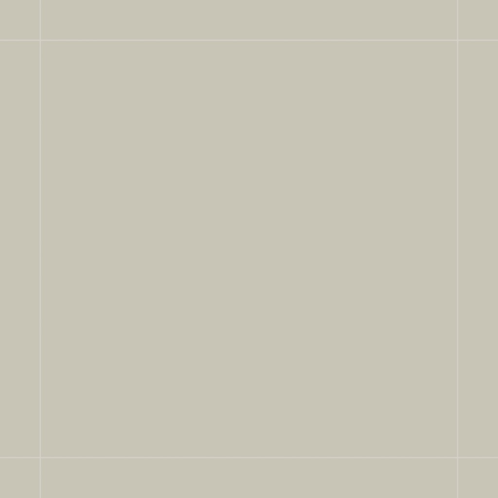 Qualis Ceramica Monoforma 48x48 Storm Silk